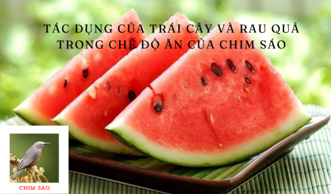 Tác dụng của trái cây và rau quả trong chế độ ăn của chim sáo